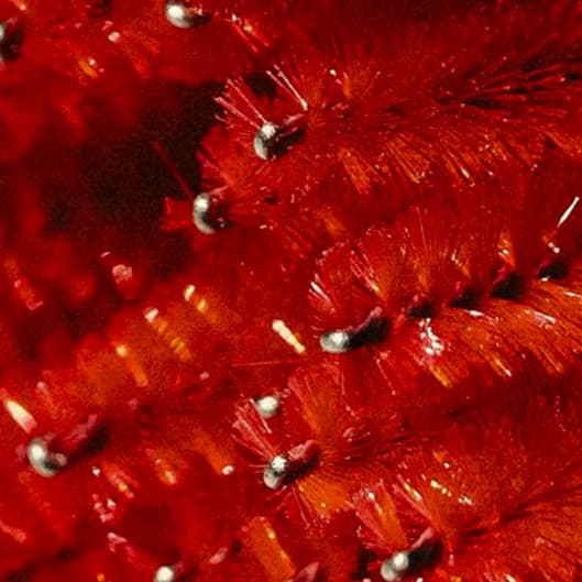 Brow Tamer at Cherry Smooth Skin in Las Vegas, NV